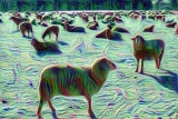 Deep Dream - Schafe (1)